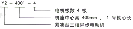 YR系列(H355-1000)高压YJTFKK5606-2三相异步电机西安西玛电机型号说明